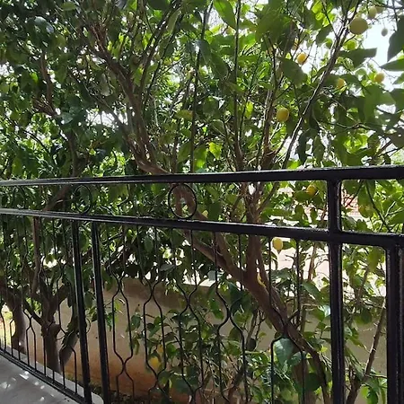 Kuca Za Odmor Petra Sali