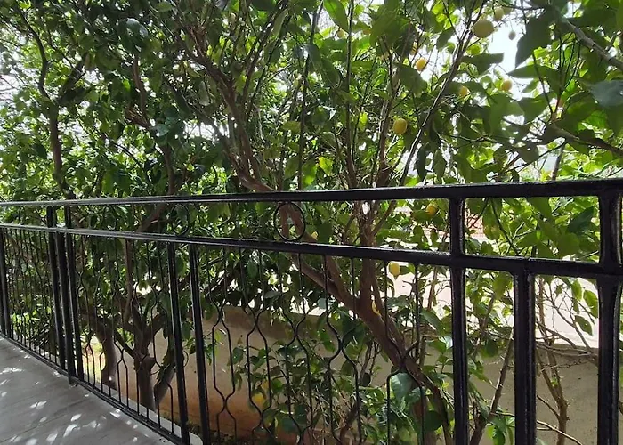 Kuca Za Odmor Petra 살리